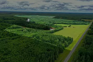 4049 Co Rd 79, International Falls, MN 56653 - Photo 2