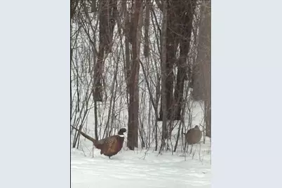 308 17th Avenue S, Cold Spring, MN 56320 - Photo 38