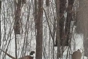 308 17th Ave S, Cold Spring, MN 56320 - Photo 38