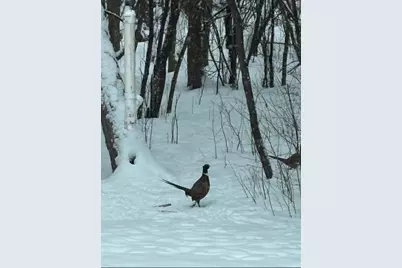 308 17th Avenue S, Cold Spring, MN 56320 - Photo 34