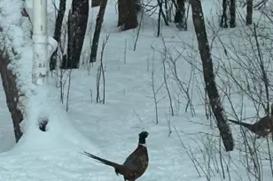 308 17th Ave S, Cold Spring, MN 56320 - Photo 34