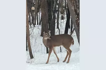 308 17th Avenue S, Cold Spring, MN 56320 - Photo 40