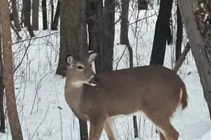 308 17th Ave S, Cold Spring, MN 56320 - Photo 40