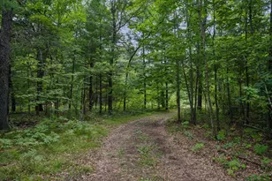 15204 State Road 70, Grantsburg, WI 54840 - Photo 4