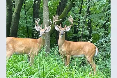 19700 Hillside Street, Excelsior, MN 55331 - Photo 4