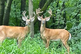 19700 Hillside St, Excelsior, MN 55331 - Photo 4