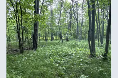 Tbd Old 35 Bypass, Siren, WI 54872 - Photo 1