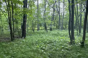 Tbd Old 35 Bypass, Siren, WI 54872 - Photo 1