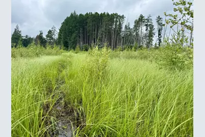 Tbd 20th St. SW 20 St. SW, Pine River, MN 56474 - Photo 20