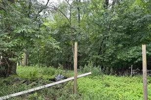 32752 County 16, Turtle Creek Twp, MN 56443 - Photo 8