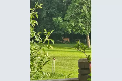 14750 Matson Road, Burlington Twp, MN 56544 - Photo 48