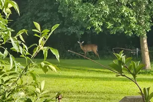 14750 Matson Rd, Burlington Twp, MN 56544 - Photo 48