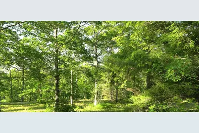 83Xxx - Lot 6 Ashwabay Heights Road, Bayfield, WI 54814 - Photo 1