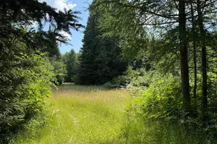 8124 Virginia Ely Rd, Babbitt, MN 55706 - Photo 88