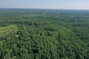 8124 Virginia Ely Rd, Babbitt, MN 55706 - Photo 6