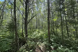 8124 Virginia Ely Rd, Babbitt, MN 55706 - Photo 96