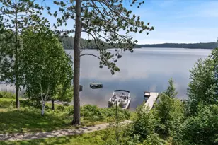 52000 Antler Lake Island Dr, Bigfork, MN 56628 - Photo 8