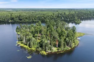 52000 Antler Lake Island Dr, Bigfork, MN 56628 - Photo 4