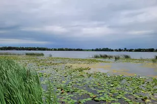 20633 Co Hwy 21, Detroit Lakes, MN 56501 - Photo 56