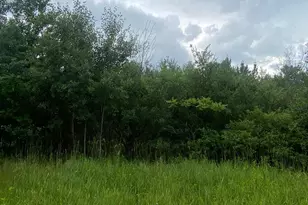 19Xx 240th Ave, Eureka, WI 54024 - Photo 1