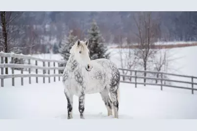 9685 County Road 13 SE, Delano, MN 55328 - Photo 232