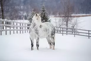 9685 County Rd 13 SE, Delano, MN 55328 - Photo 232