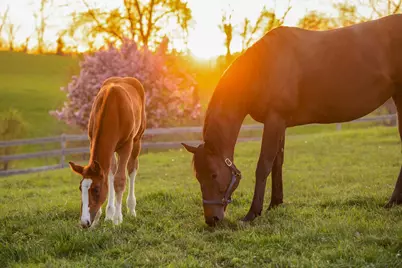 9685 County Road 13 SE, Delano, MN 55328 - Photo 222