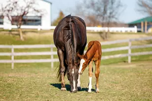 9685 County Rd 13 SE, Delano, MN 55328 - Photo 206