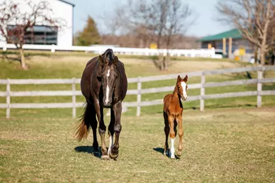 9685 County Road 13 SE, Delano, MN 55328 - Photo 224