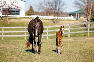 9685 County Rd 13 SE, Delano, MN 55328 - Photo 224