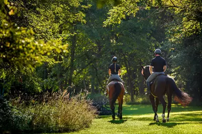 9685 County Road 13 SE, Delano, MN 55328 - Photo 216