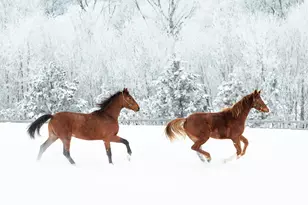 9685 County Rd 13 SE, Delano, MN 55328 - Photo 218