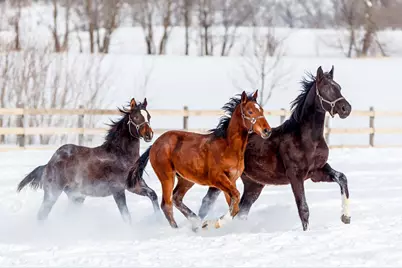 9685 County Road 13 SE, Delano, MN 55328 - Photo 204