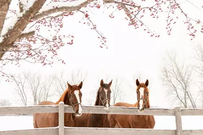 9685 County Road 13 SE, Delano, MN 55328 - Photo 226