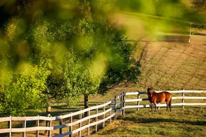 9685 County Road 13 SE, Delano, MN 55328 - Photo 226