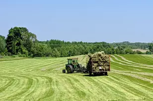 9685 County Rd 13 SE, Delano, MN 55328 - Photo 148