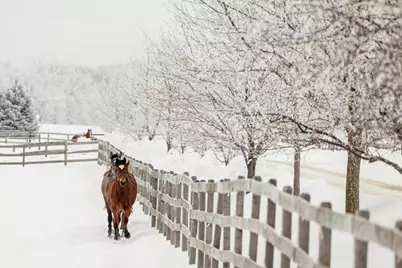 9685 County Road 13 SE, Delano, MN 55328 - Photo 8