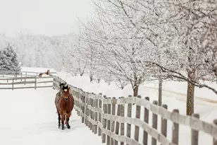 9685 County Rd 13 SE, Delano, MN 55328 - Photo 8