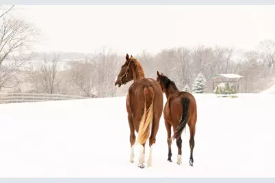 9685 County Road 13 SE, Delano, MN 55328 - Photo 214