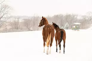 9685 County Rd 13 SE, Delano, MN 55328 - Photo 214