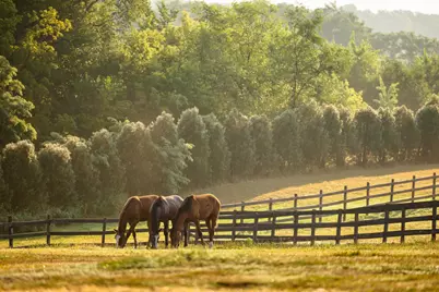 9685 County Road 13 SE, Delano, MN 55328 - Photo 230