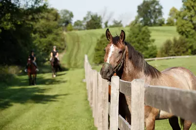 9685 County Road 13 SE, Delano, MN 55328 - Photo 196