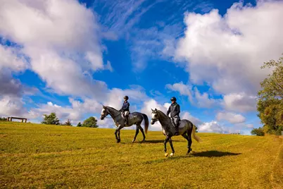 9685 County Road 13 SE, Delano, MN 55328 - Photo 212