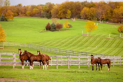 9685 County Road 13 SE, Delano, MN 55328 - Photo 202