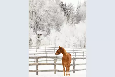 9685 County Road 13 SE, Delano, MN 55328 - Photo 208