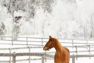 9685 County Rd 13 SE, Delano, MN 55328 - Photo 208