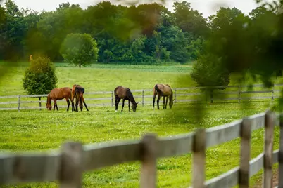 9685 County Road 13 SE, Delano, MN 55328 - Photo 214