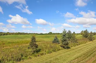 9685 County Rd 13 SE, Delano, MN 55328 - Photo 188