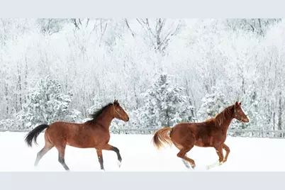 9685 County Road 13 SE, Delano, MN 55328 - Photo 216