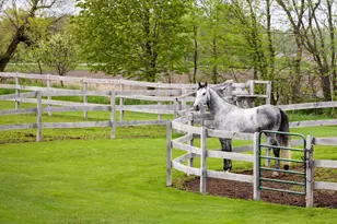 9685 County Rd 13 SE, Delano, MN 55328 - Photo 196